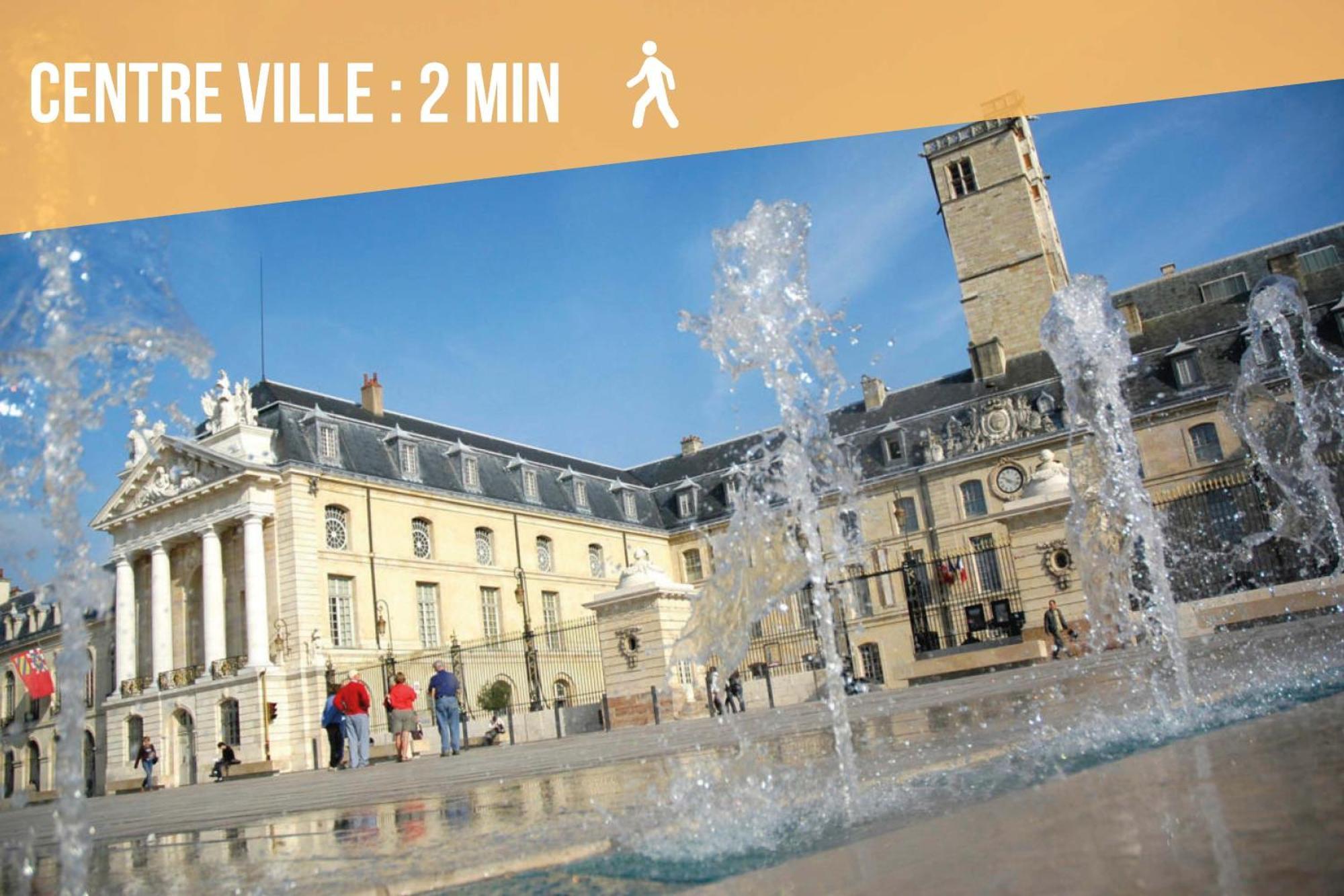 Le Faubourg-Raines - Chaleureux Studio A 5Mn De La Gare ディジョン エクステリア 写真
